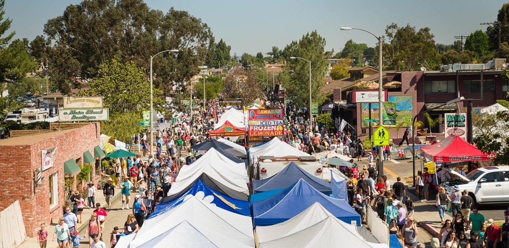 Fallbrook Avocado Festival Wood Models Kits you Build